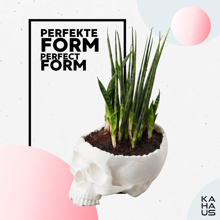 Skull Planter 3D Printed — Gothic Succulent Pot, Cactus Plant Skull Decor – White