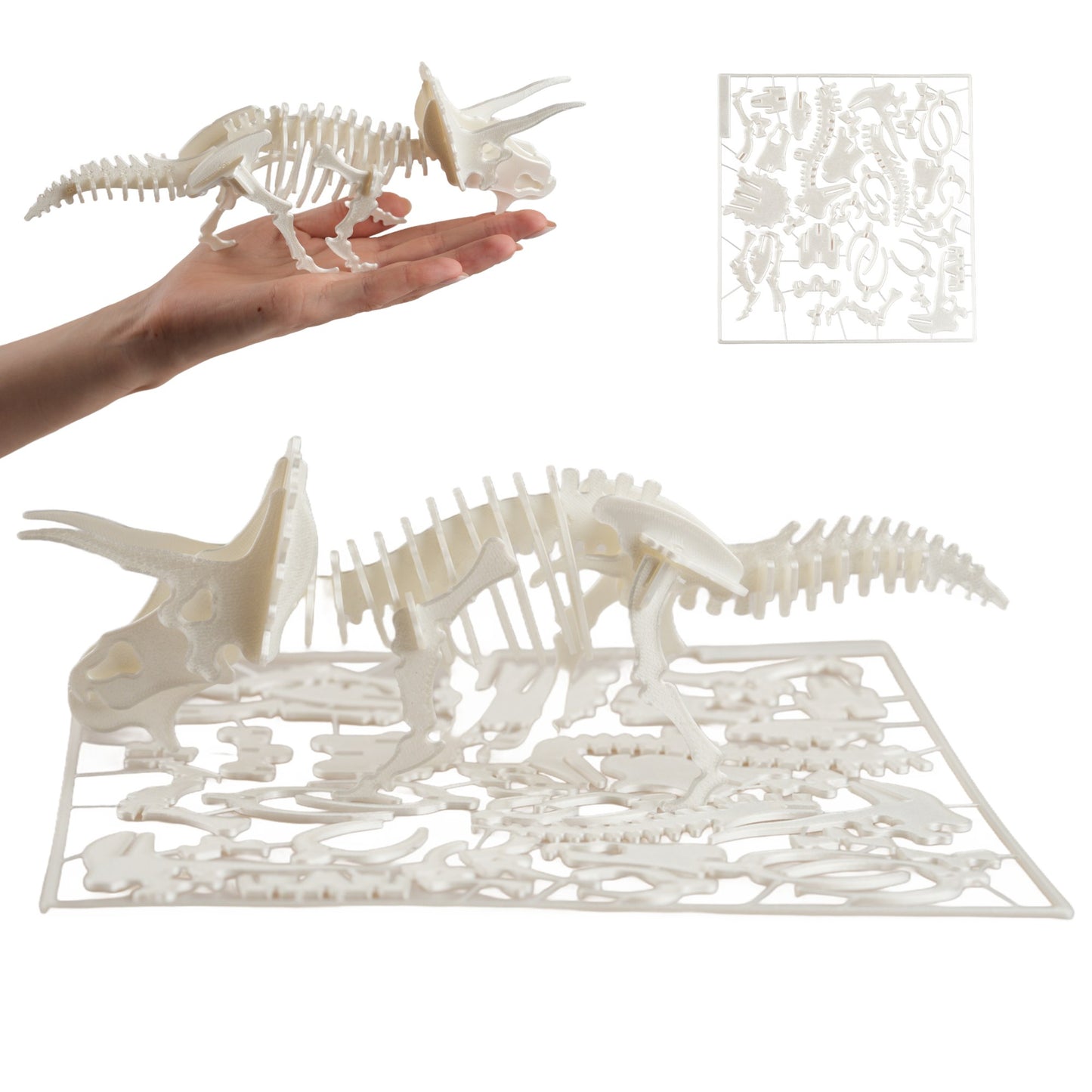 Triceratops Dinosaurier Bausatz – Steckkarte aus 3D-Druck – 25 cm #1