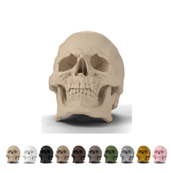 Craniu uman decorativ realist 9,3 cm, PLA – bej
