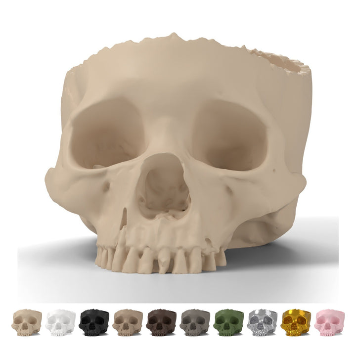 Schedel schaal Halloween 10,1 cm, decoratief van PLA – Beige