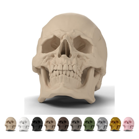 Craniu uman decorativ realist 9,3 cm, PLA – Beige